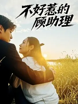 《不好惹的顾助理》：职场风云，顾助理的逆袭之路