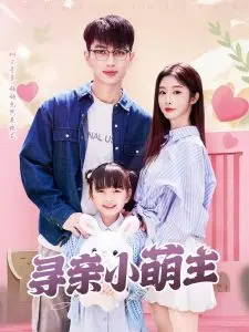 《寻亲小萌主》：泪点与笑点齐飞，萌娃寻亲路上的温暖治愈