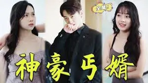 《神豪丐婿》：从乞丐到富豪的爆笑逆袭人生