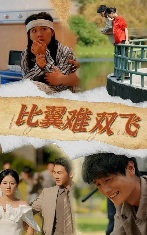 《比翼难双飞》：爱恨交织的命运悲歌，一段凄美的爱情挽歌
