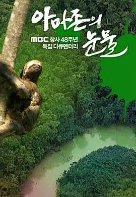 《亚马逊的眼泪》：一部触动灵魂的纪录片，揭示环保背后的残酷真相与希望