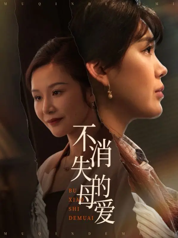 母爱的永恒光芒：《不消失的母爱》这部电影如何触动你的心灵，讲述一个永不褪色的家庭传奇