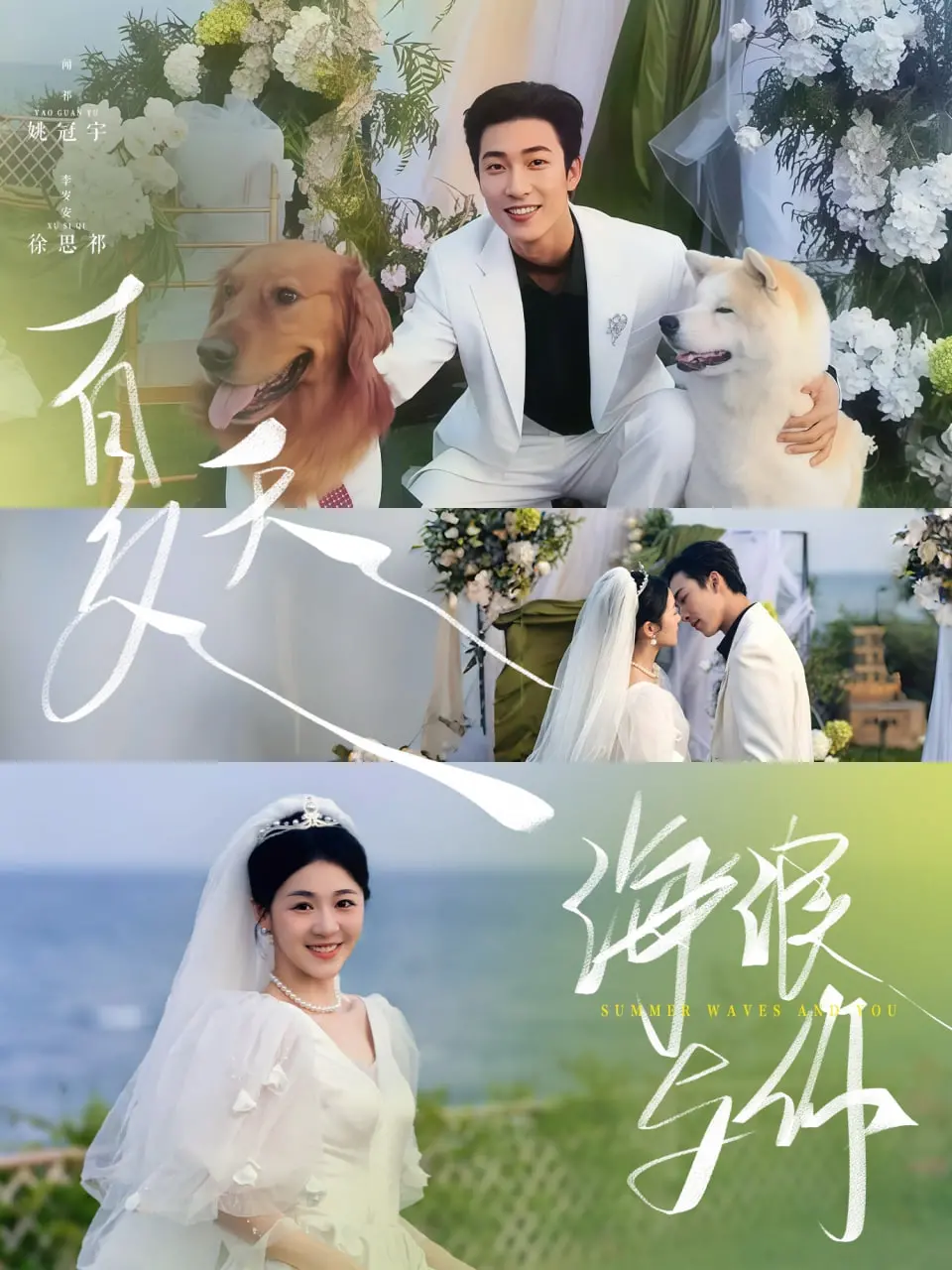 《夏天，海浪与你》：一场关于救赎与爱的夏日疗愈之旅，在海浪声中找寻自我